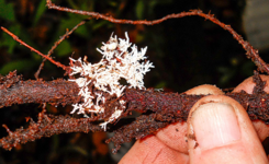 1766508900903.png 1766508900903.png