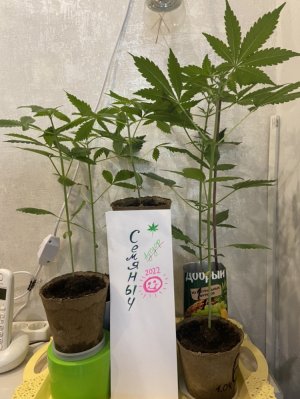 22.04.22.jpeg 22.04.22.jpeg