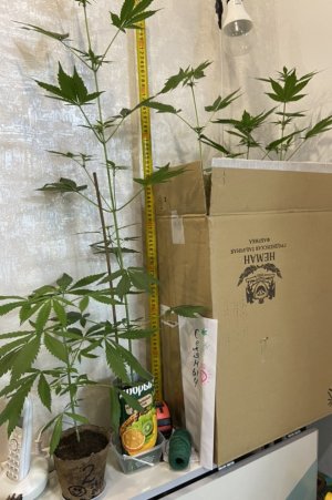 7.05.22.jpeg 7.05.22.jpeg