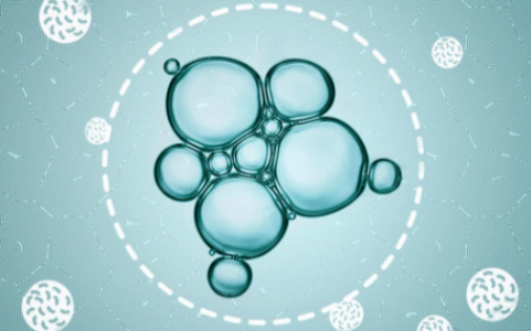 1653134010984.png 1653134010984.png