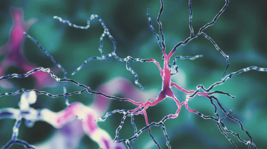 1653134189549.png 1653134189549.png