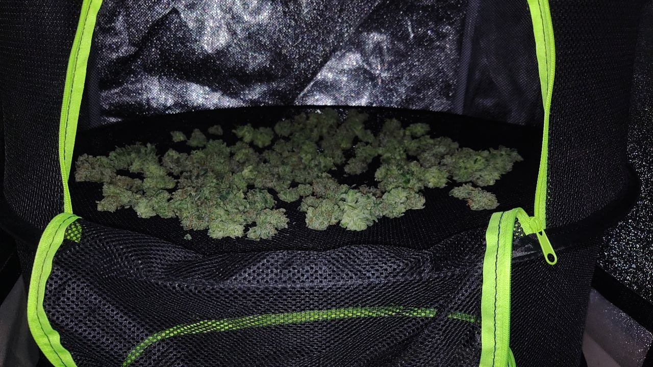 photo_2022-05-23_18-26-26 (3).jpg