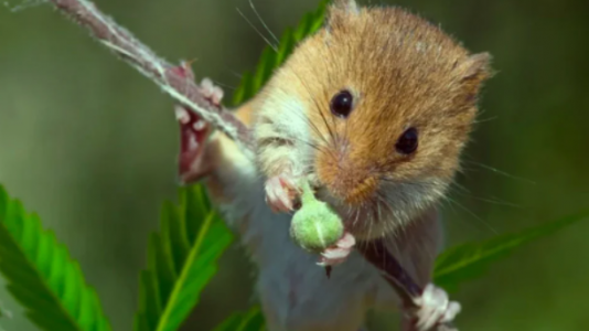 1653674021748.png 1653674021748.png