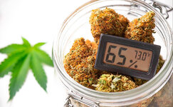 podderzhanie-vnutri-emkosti-vlazhnosti-na-urovne-60-65__K7S5Hz9BAfTzIiq1.jpg podderzhanie-vnutri-emkosti-vlazhnosti-na-urovne-60-65__K7S5Hz9BAfTzIiq1.jpg