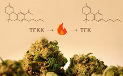 dekarboksilirovanie-pered-dobavleniem-v-edu__0xeIEyEDuAtRZ3xn.jpg dekarboksilirovanie-pered-dobavleniem-v-edu__0xeIEyEDuAtRZ3xn.jpg