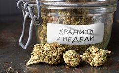 pochemu-socvetiya-prinyato-prolechivat-imenno-2-nedeli__Lwij2ffN2ijqkByj.jpg pochemu-socvetiya-prinyato-prolechivat-imenno-2-nedeli__Lwij2ffN2ijqkByj.jpg