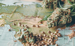 Vazhnost-klimata-regiona__sJGf2jn5cbRbRJ1k.jpg Vazhnost-klimata-regiona__sJGf2jn5cbRbRJ1k.jpg