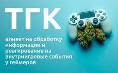 vliyanie-kannabisa-na-skorost-reakcii-i-kratkovremennuyu-pamyat__N28CoVBFGo6SSAk1.jpg vliyanie-kannabisa-na-skorost-reakcii-i-kratkovremennuyu-pamyat__N28CoVBFGo6SSAk1.jpg