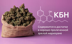 Kannabinol__SoXbrt7OtNF6SrM4.jpg