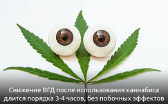 lechenie-glaukomy-marihuanoj__stQRZF2fTu79Pr7j.jpg lechenie-glaukomy-marihuanoj__stQRZF2fTu79Pr7j.jpg