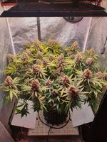 20251227_224218.jpg 20251227_224218.jpg