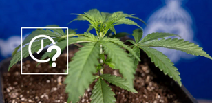 1767711256447.png 1767711256447.png