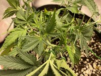 IMG_2061.jpeg IMG_2061.jpeg