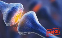 Kannabidiol-dejstvuet-aktiviruya-kannabinoidnye-receptory__Ta4zpO8YYbRM7RX1.jpg Kannabidiol-dejstvuet-aktiviruya-kannabinoidnye-receptory__Ta4zpO8YYbRM7RX1.jpg