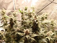 photo_2026-01-09_18-06-15 (2).jpg