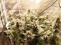 photo_2026-01-09_18-06-17 (2).jpg