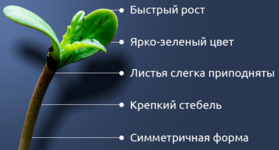 1768242630367.png 1768242630367.png