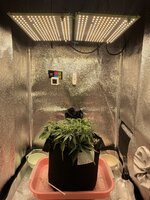 IMG_2084.jpeg IMG_2084.jpeg