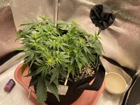 IMG_2083.jpeg IMG_2083.jpeg