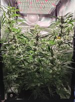 Day 76 (17.01) (2).jpg