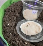 20260116_145246.jpg 20260116_145246.jpg