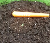 20260116_145213.jpg 20260116_145213.jpg