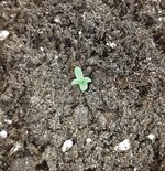 20260118_073356.jpg 20260118_073356.jpg