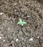 20250308_104402.jpg 20250308_104402.jpg