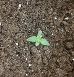 20260118_081027.jpg 20260118_081027.jpg