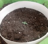 20260118_081013.jpg 20260118_081013.jpg