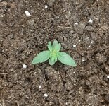 20260118_081305.jpg 20260118_081305.jpg