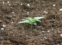 20250312_084848.jpg 20250312_084848.jpg