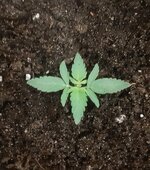 20250313_082630.jpg 20250313_082630.jpg