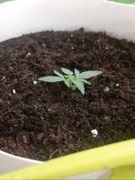 20260119_063028.jpg 20260119_063028.jpg