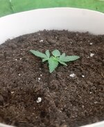 20260119_063002.jpg 20260119_063002.jpg