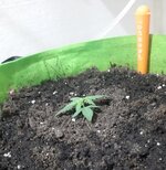 20260119_071228.jpg 20260119_071228.jpg