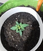 20260119_072134.jpg 20260119_072134.jpg