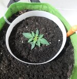 20260119_072446.jpg 20260119_072446.jpg