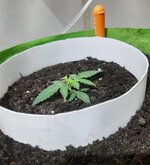 20260119_072434.jpg 20260119_072434.jpg