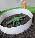 20260119_074206.jpg 20260119_074206.jpg