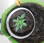 20260119_113920.jpg 20260119_113920.jpg