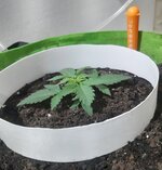 20260119_113908.jpg 20260119_113908.jpg