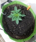 20260119_172214.jpg 20260119_172214.jpg