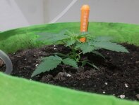 20260119_172202.jpg 20260119_172202.jpg