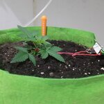 20260119_172135.jpg 20260119_172135.jpg