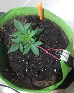 20260119_172149.jpg 20260119_172149.jpg