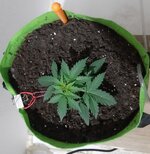 20260120_045256.jpg 20260120_045256.jpg