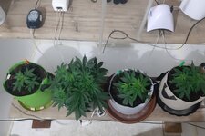 20260120_055913.jpg 20260120_055913.jpg