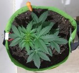 20260120_063416.jpg 20260120_063416.jpg