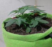 20260120_063937.jpg 20260120_063937.jpg